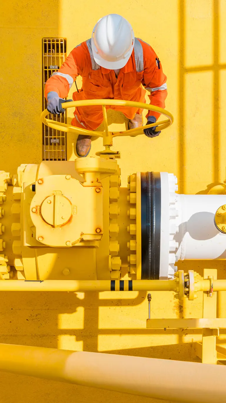 customer satisfatction Expert services Allstars