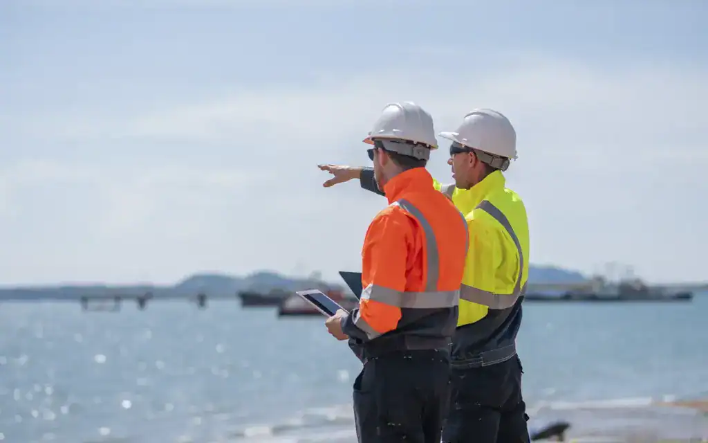 allstars Consultation